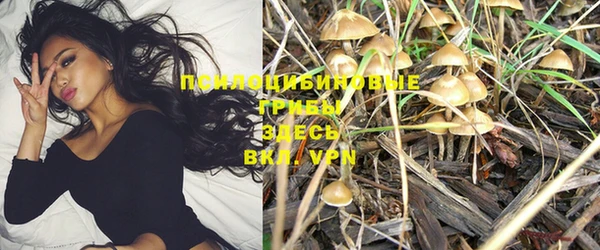 бутират Каменка