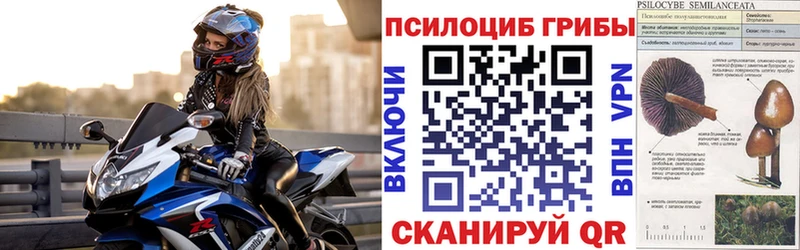 Галлюциногенные грибы GOLDEN TEACHER  Купить где  Няндома 
